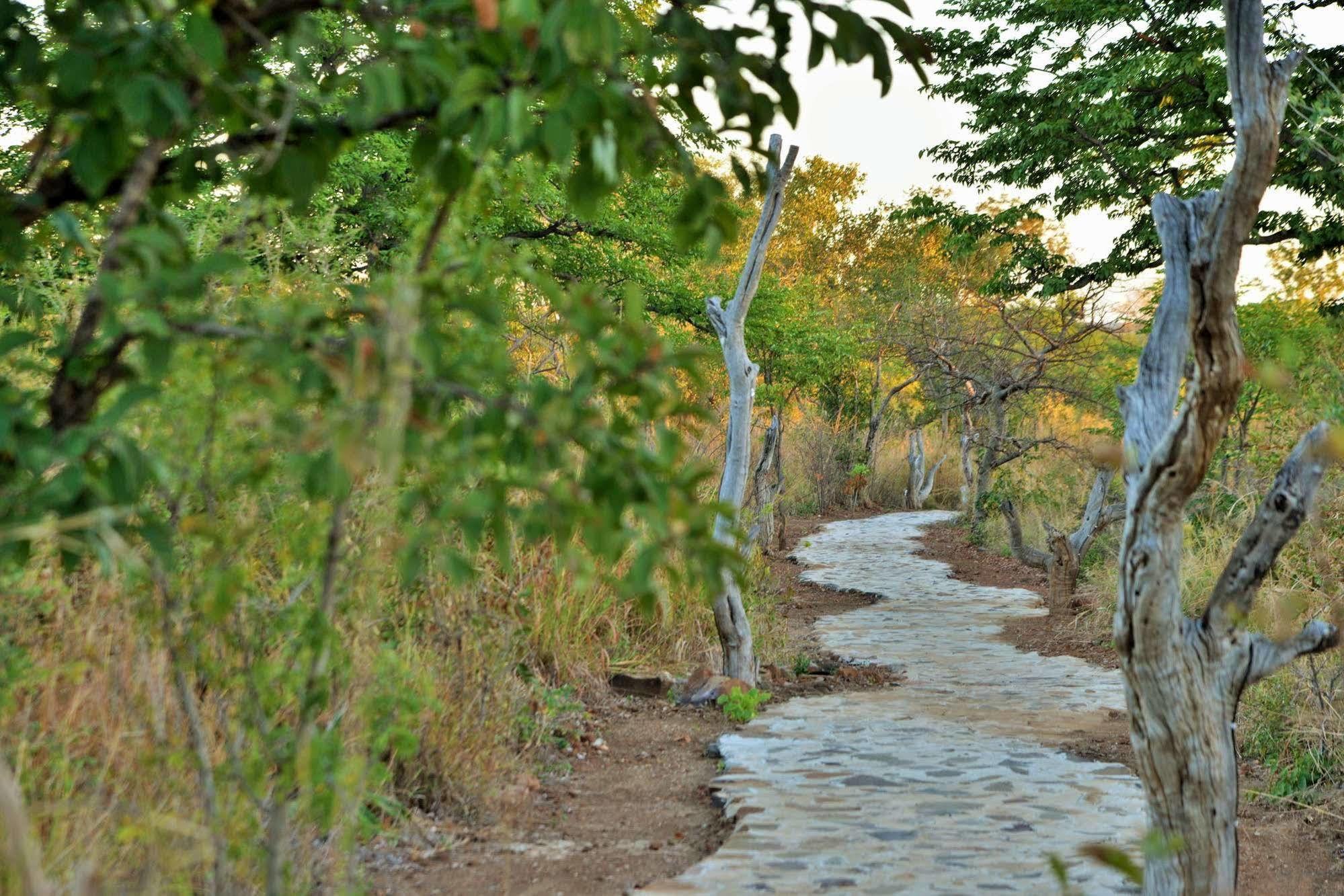 Wildtrack Safaris Eco Lodge Pandamatenga ภายนอก รูปภาพ