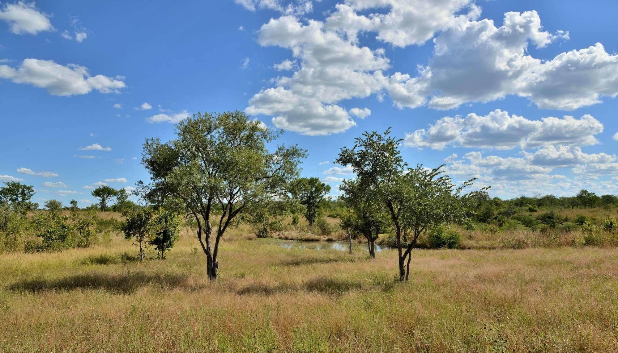 Wildtrack Safaris Eco Lodge Pandamatenga ภายนอก รูปภาพ